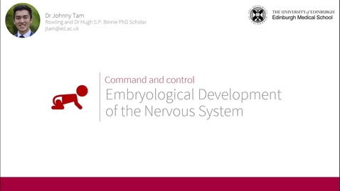 Thumbnail for Command &amp; Control - Embryological Development of the Nervous System