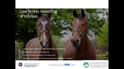 Thumbnail for entry Low stress handling horses