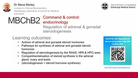 Thumbnail for B5. Regulation of adrenal &amp; gonadal steroidogenesis