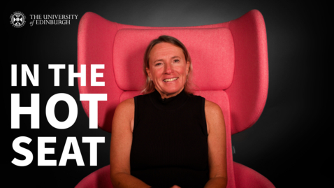 Thumbnail for In the Hot Seat Tara