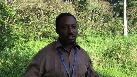 Thumbnail for International Animal Health online masters: Jesse Adama - student testimonial