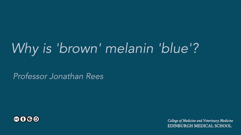 Thumbnail for Why is 'brown' melanin blue?