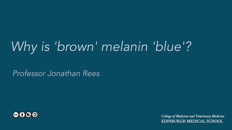 Thumbnail for entry Why is 'brown' melanin blue?