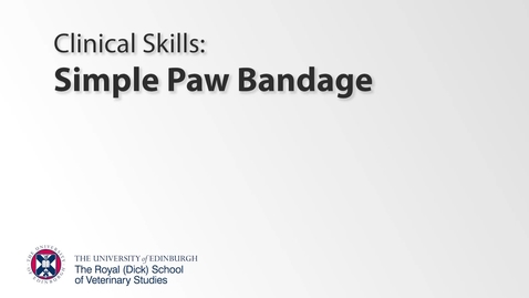 Thumbnail for entry Bandaging Class - Simple Paw Bandage