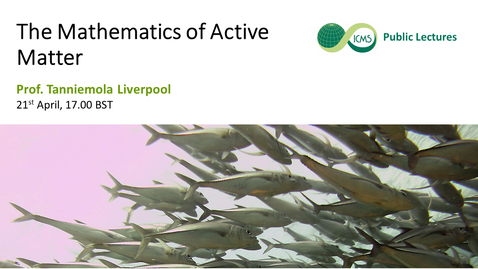 Thumbnail for entry Tannie Liverpool: The Mathematics of Active Matter