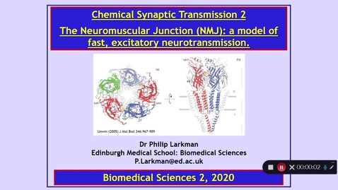 Thumbnail for entry BMS2: Chemical Synaptic Transmission 2 Part 1 Dr Phil Larkman