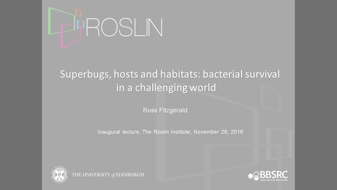 Thumbnail for entry Superbugs, hosts, and habitats: bacterial survival in a challenging world