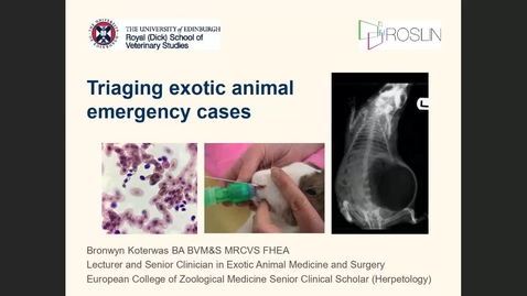 Thumbnail for entry Clinical Club - 4th August - Bronwyn Koterwas - Triaging exotic emergencies