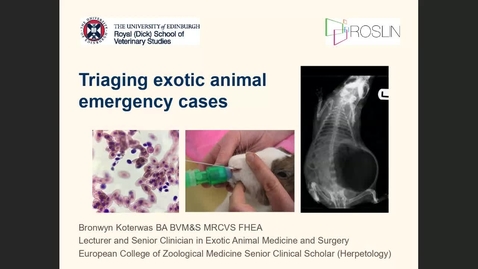 Thumbnail for Clinical Club - 4th August - Bronwyn Koterwas - Triaging exotic emergencies