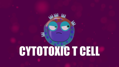 Thumbnail for entry Supercytes - How to say 'Cytotoxic T cell'