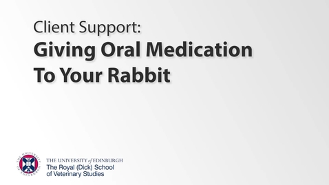 Thumbnail for Client Support - Rabbit Oral Medication