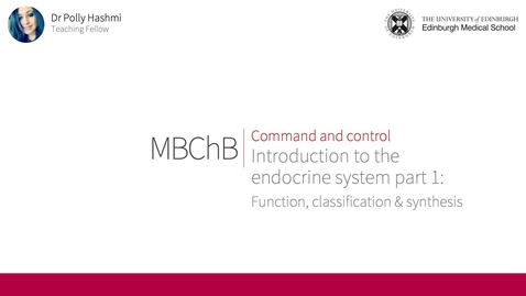 Thumbnail for Intro to the endocrine system: function, classification &amp; synthesis