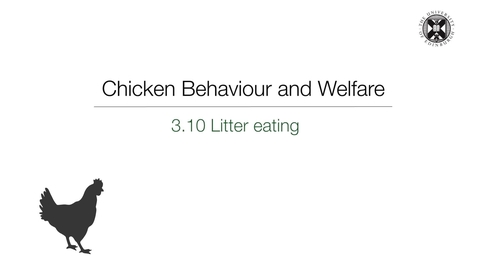 Thumbnail for Week 3:  3.10 Litter Eating