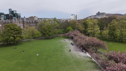 Thumbnail for Drone The Meadows cherry blossom low lateral tracking