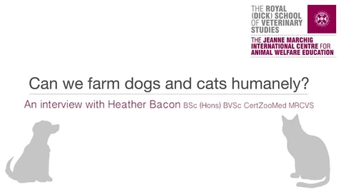 Thumbnail for Interview 3-5 Can We Farm Dogs and Cats Humanely.mp4
