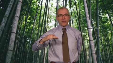 Thumbnail for Meditative moment (week 4)