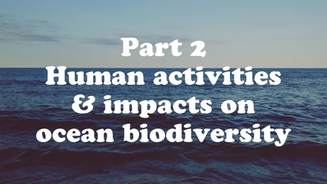 Thumbnail for entry Lesson 2: Ocean Biodiversity, Food Webs and Habitats
