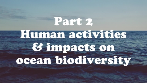 Thumbnail for Lesson 2: Ocean Biodiversity, Food Webs and Habitats