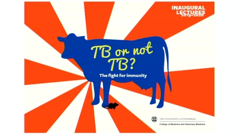 Thumbnail for TB or not TB? The fight for immunity
