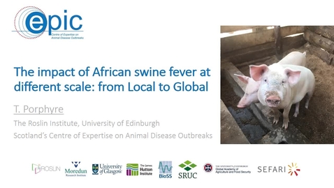 Thumbnail for entry The impact of African swine fever at different scale: from Local to Global