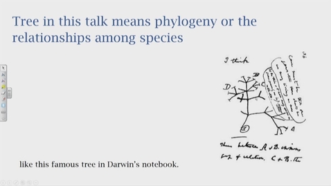 Thumbnail for Ziheng Yang