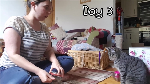 Thumbnail for entry Training a Cat to Present a Paw in 9 Days