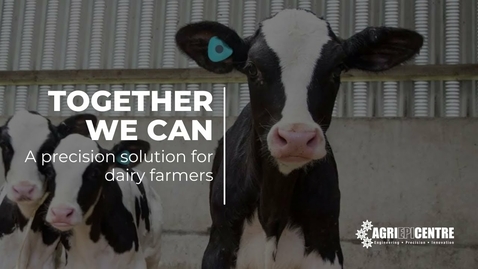 Thumbnail for Healthy Heifer: A precision solution for dairy farmers