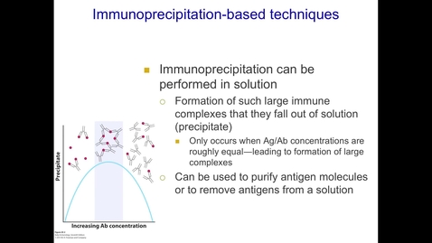 Thumbnail for entry Immunoprecipitation techniques