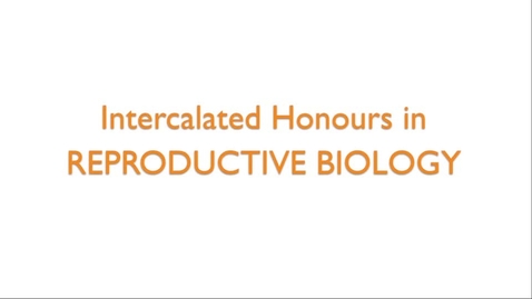 Thumbnail for Intercalated Honours in Reproductive Biology