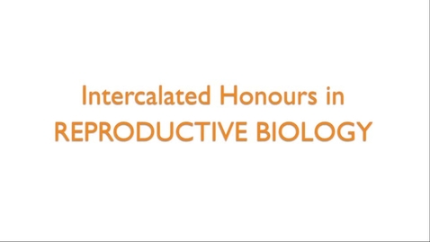 Thumbnail for entry Intercalated Honours in Reproductive Biology