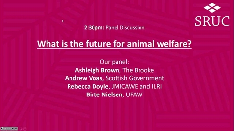 Thumbnail for entry Panel discussion - Animal Welfare Day, 2022
