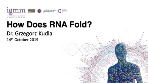 Thumbnail for entry How Does RNA Fold?