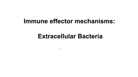 Thumbnail for entry Imm3_bacteria_Pt4_extracellular bacteria