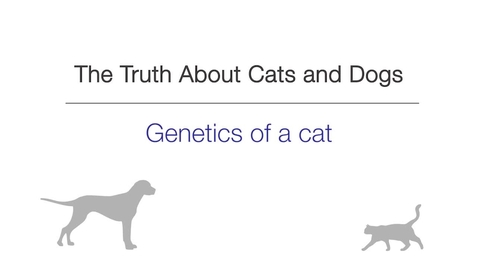 Thumbnail for Week 2 - Genetics of a Cat