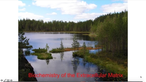 Thumbnail for entry Biochemistry of the Extracellular Matrix (2)