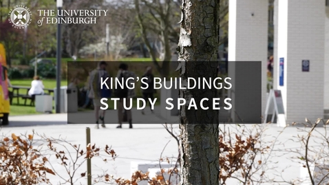 Thumbnail for Study Spaces Landscape