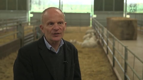 Thumbnail for Animal Welfare 1-4 How a Scientific Approach Has Helped Improve the Welfare of Animals