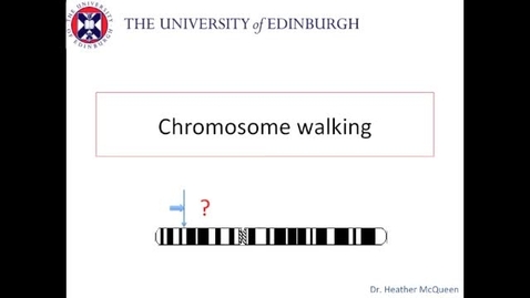 Thumbnail for entry Chromosome Walking