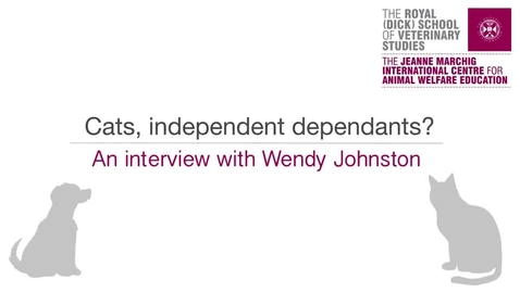 Thumbnail for Interview 3-3 Cats Independent Dependents.mp4