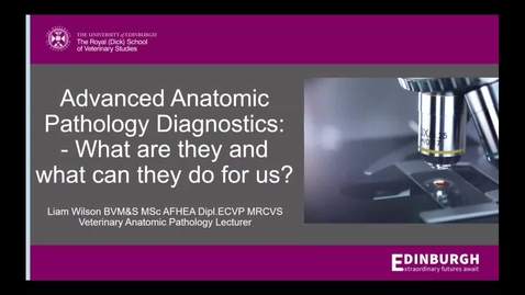 Thumbnail for Vet Clinical Club Session - 2nd April 2025 - Liam Wilson