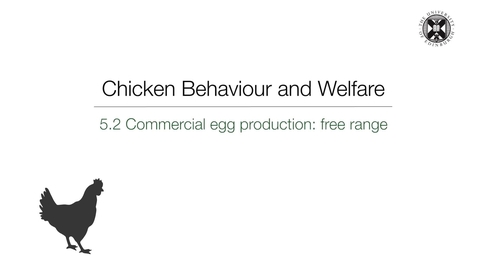 Thumbnail for Week 5:  5.3 Commercial  egg production - free range