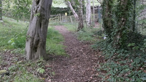 Thumbnail for entry University of Edinburgh Hedgehog Friendly Campus - making a hedgehog tunnel at Pollock Halls