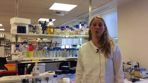 Thumbnail for Euan MacDonald Centre researcher: Cornelia Roesl