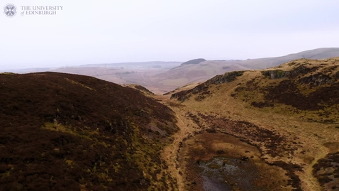 Thumbnail for Drumbrae Forest and Peatland - academic focus