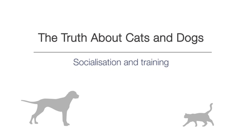 Thumbnail for Week 5 - Socialisation and training