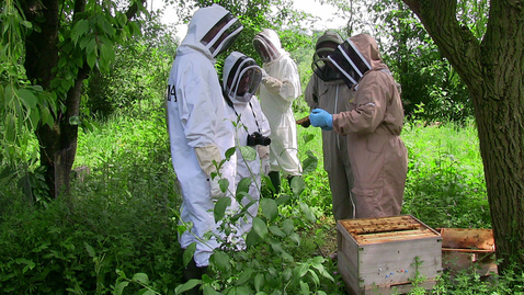 Thumbnail for Multispecies Methods (Part 2 of 7)