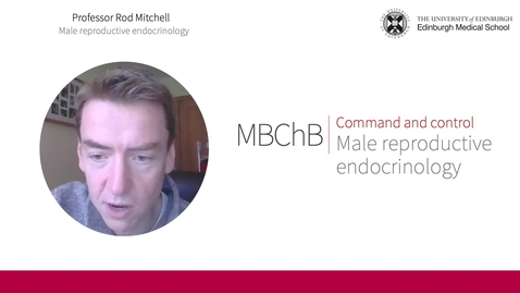 Thumbnail for Male reproductive endocrinology
