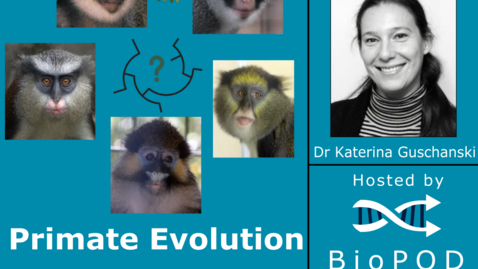 Thumbnail for Primate Evolution with Dr Katerina Guschanski