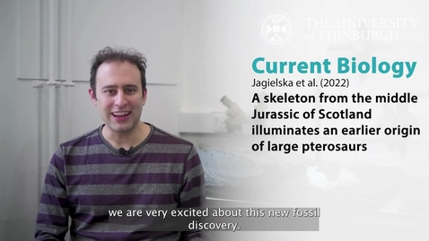 Thumbnail for entry World’s largest Jurassic pterosaur found on Scottish isle