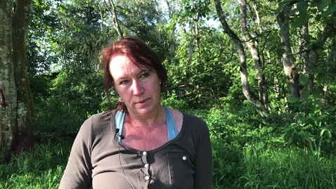 Thumbnail for Conservation Medicine online masters: Laura Wessman - student testimonial